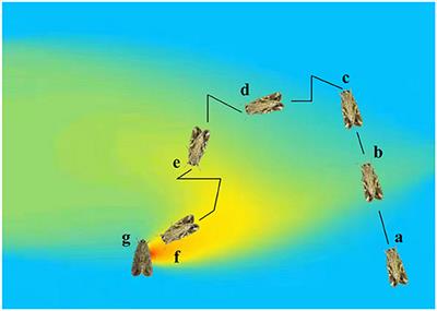 Odor source localization of multi-robots with swarm intelligence algorithms: A review